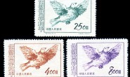 纪24 保卫世界和平(第三组)